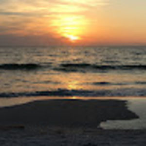 Meet your Posher, Investigative journalist